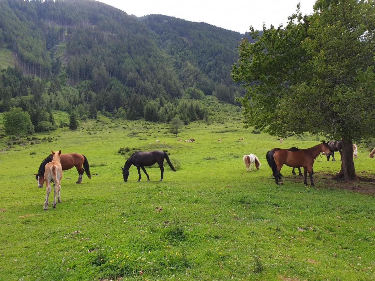 Pongitzerhof Villa Matrei in Osttirol Eksteriør bilde